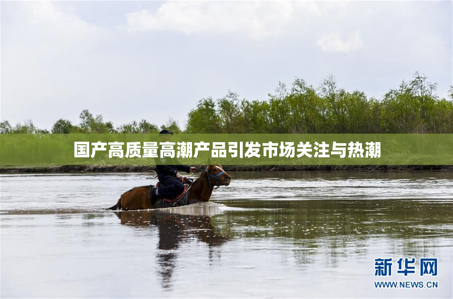 国产高质量高潮产品引发市场关注与热潮