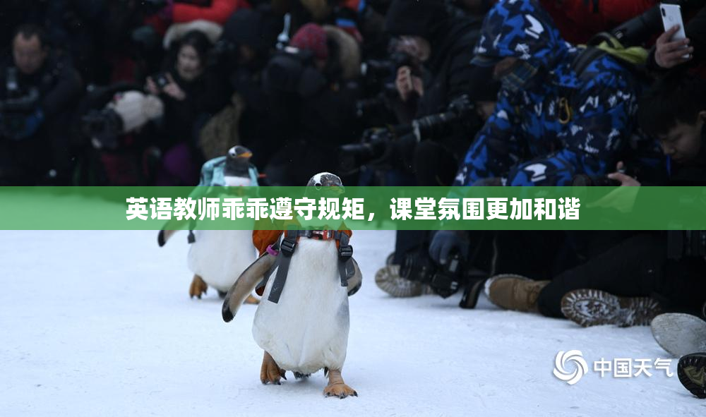 英语教师乖乖遵守规矩，课堂氛围更加和谐