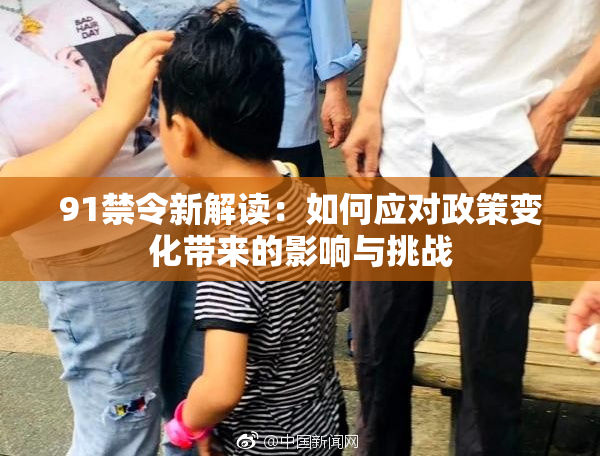 91禁令新解读：如何应对政策变化带来的影响与挑战