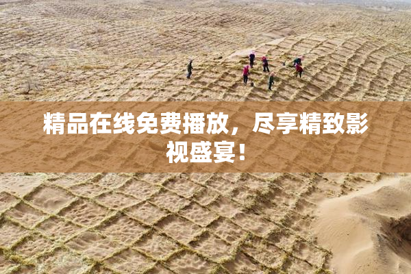 精品在线免费播放，尽享精致影视盛宴！