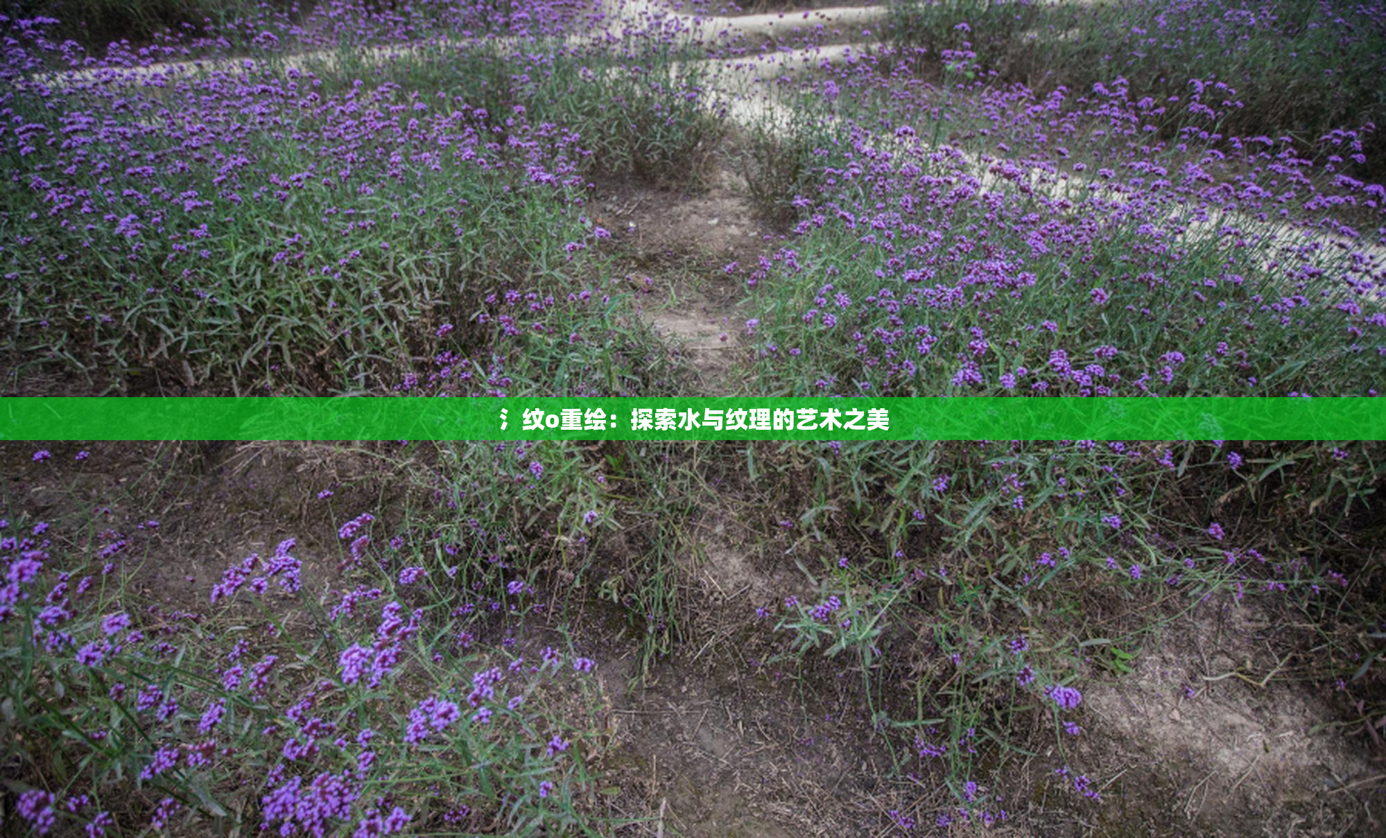 氵纹o重绘：探索水与纹理的艺术之美