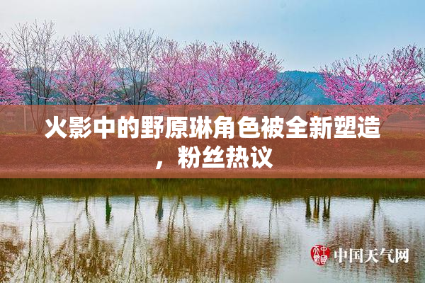 火影中的野原琳角色被全新塑造，粉丝热议