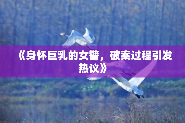 《身怀巨乳的女警，破案过程引发热议》