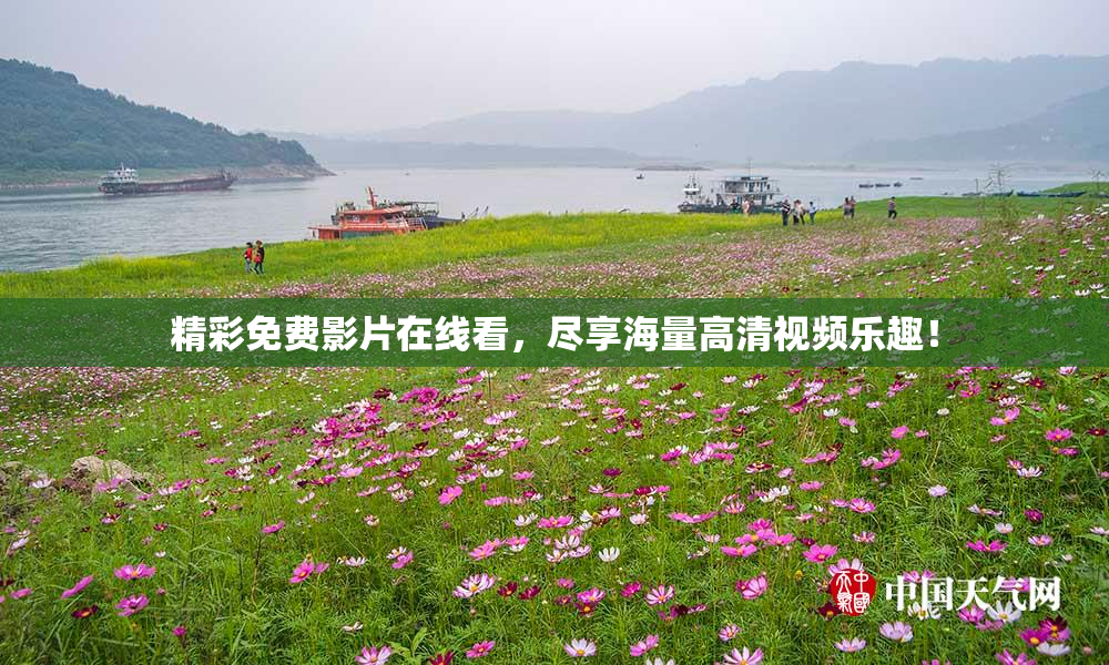 精彩免费影片在线看，尽享海量高清视频乐趣！