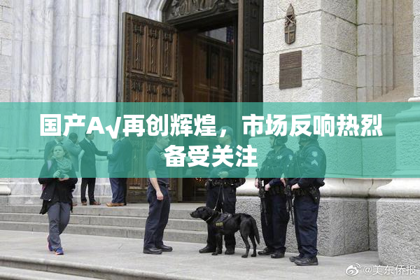 国产A√再创辉煌，市场反响热烈备受关注