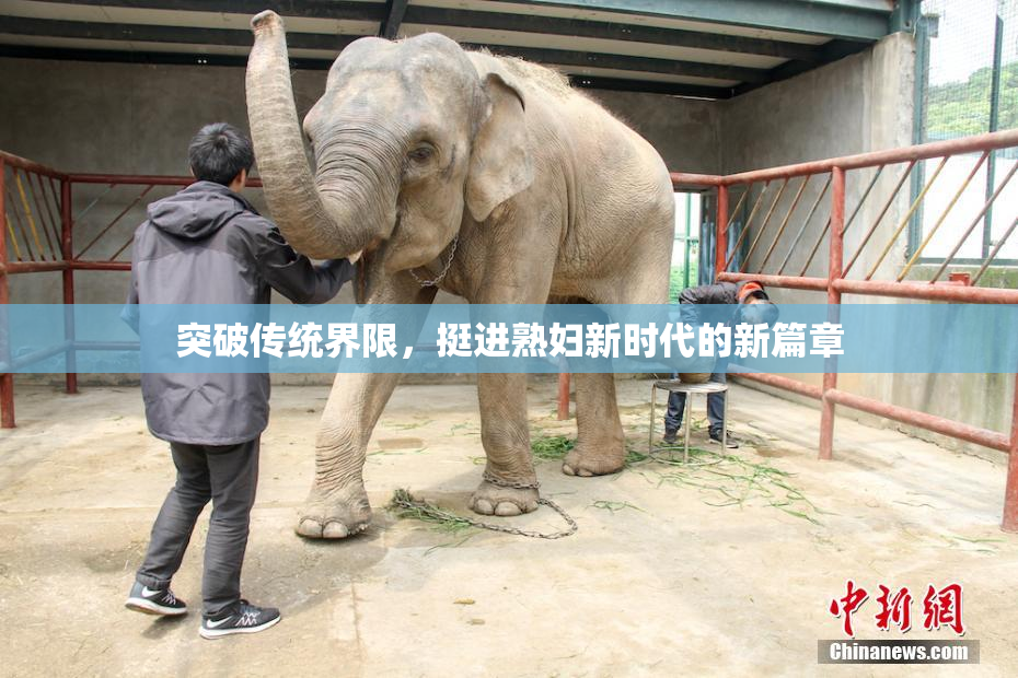 突破传统界限，挺进熟妇新时代的新篇章