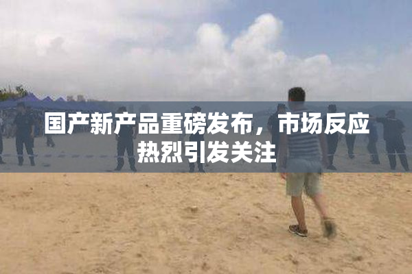 国产新产品重磅发布，市场反应热烈引发关注