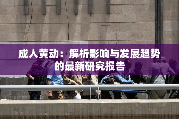 成人黄动：解析影响与发展趋势的最新研究报告