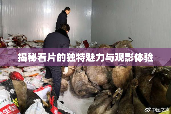 揭秘看片的独特魅力与观影体验