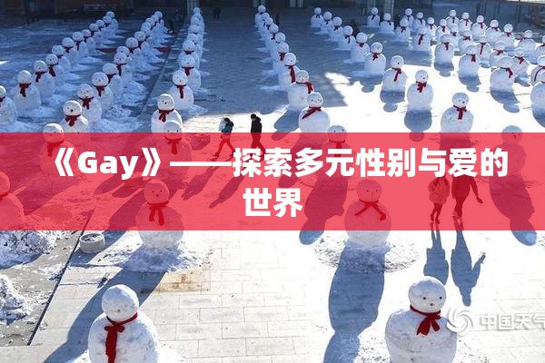 《Gay》——探索多元性别与爱的世界