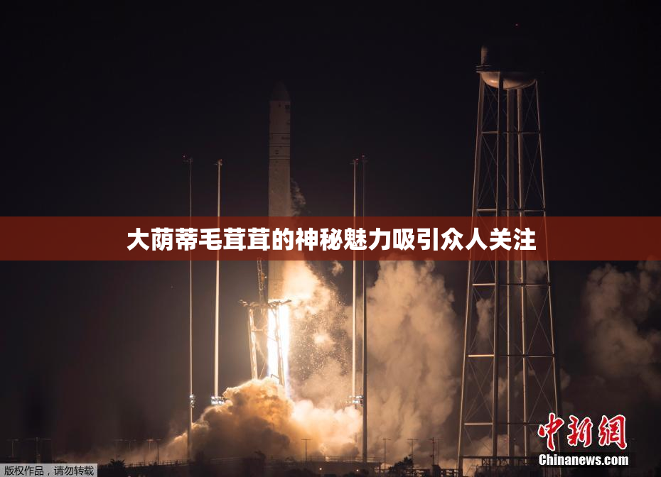 大荫蒂毛茸茸的神秘魅力吸引众人关注