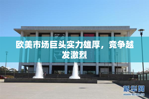 欧美市场巨头实力雄厚，竞争越发激烈
