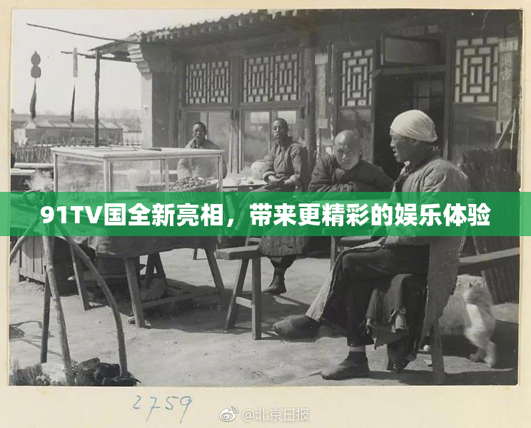 91TV国全新亮相，带来更精彩的娱乐体验
