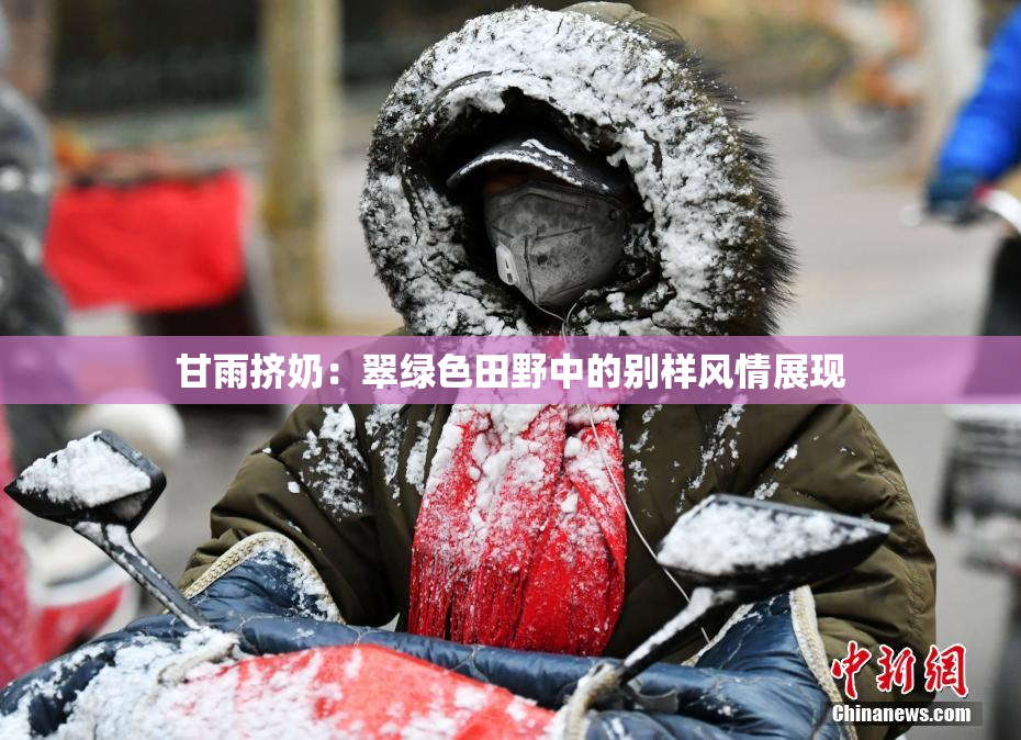 甘雨挤奶：翠绿色田野中的别样风情展现