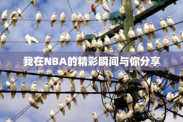我在NBA的精彩瞬间与你分享