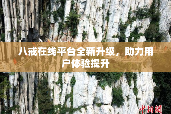 八戒在线平台全新升级，助力用户体验提升