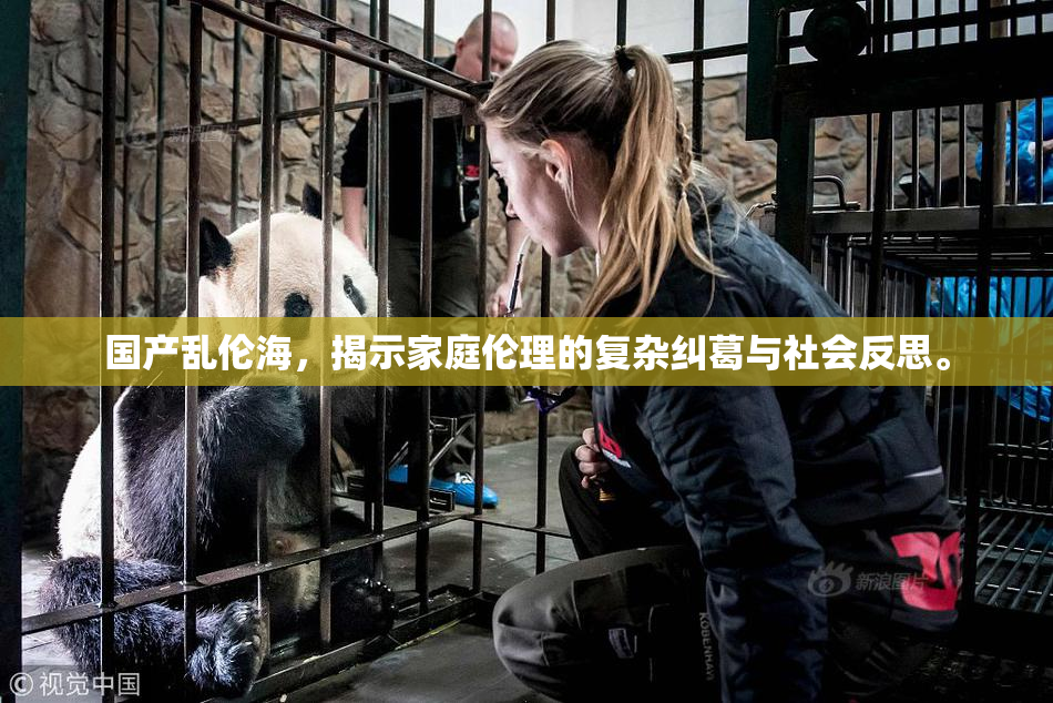 国产乱伦海，揭示家庭伦理的复杂纠葛与社会反思。