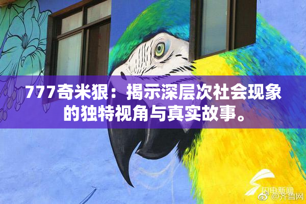 777奇米狠：揭示深层次社会现象的独特视角与真实故事。