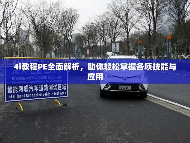 4i教程PE全面解析，助你轻松掌握各项技能与应用