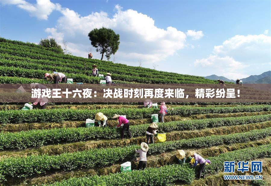 游戏王十六夜：决战时刻再度来临，精彩纷呈！