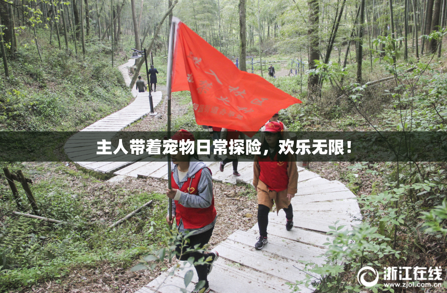 主人带着宠物日常探险，欢乐无限！