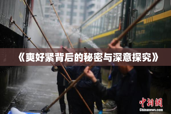 《爽好紧背后的秘密与深意探究》