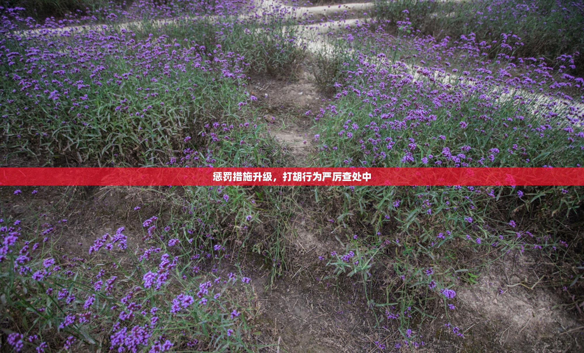 惩罚措施升级，打胡行为严厉查处中