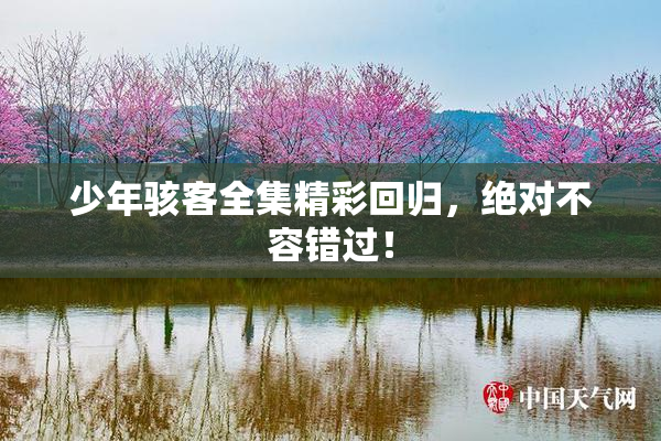 少年骇客全集精彩回归，绝对不容错过！