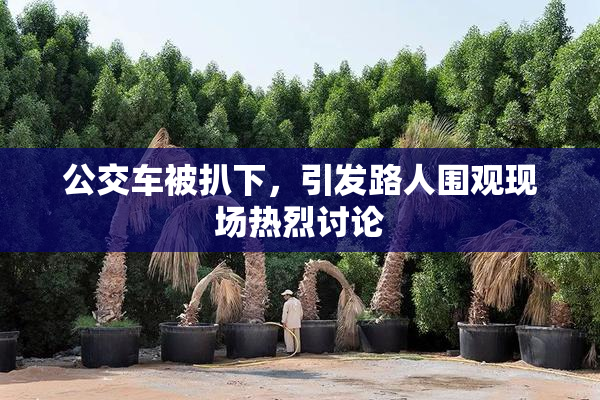 公交车被扒下，引发路人围观现场热烈讨论
