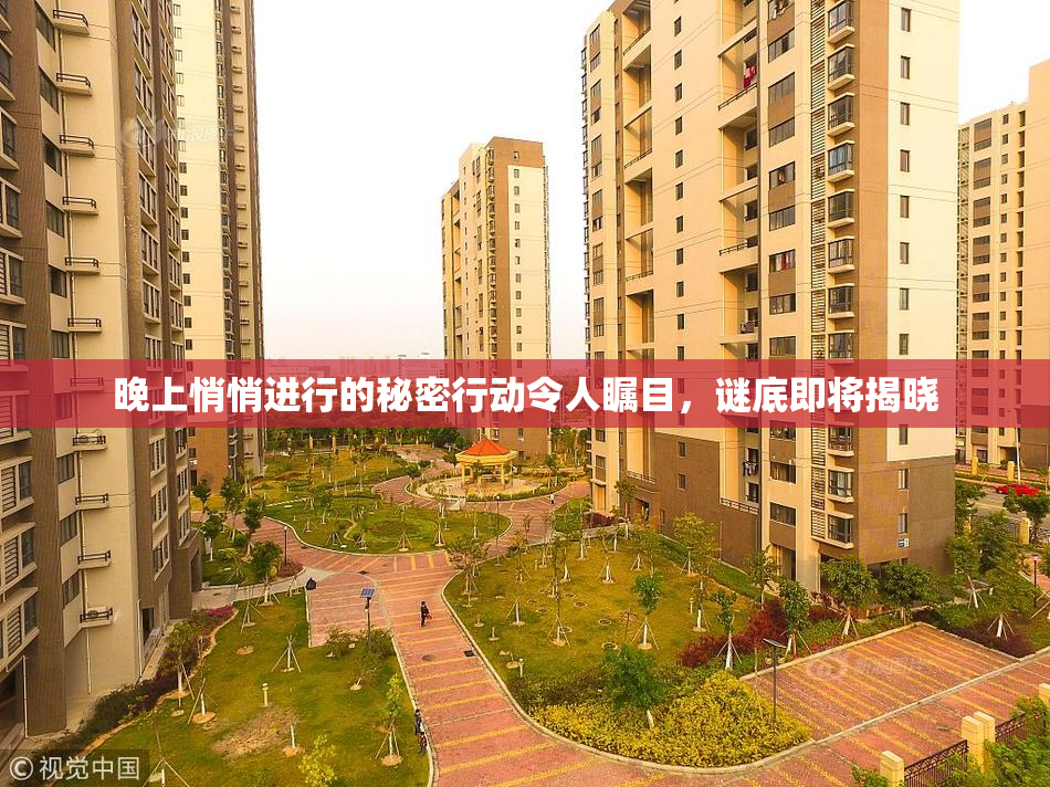 晚上悄悄进行的秘密行动令人瞩目，谜底即将揭晓