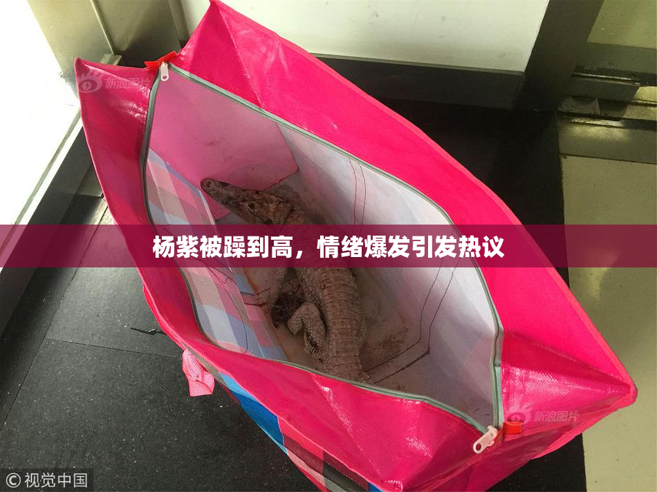 杨紫被躁到高，情绪爆发引发热议
