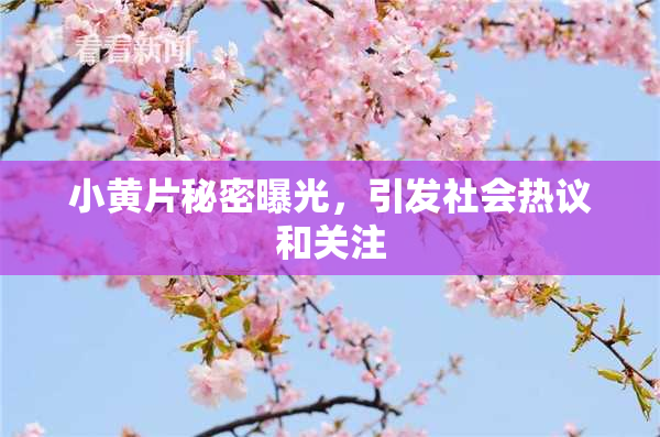 小黄片秘密曝光，引发社会热议和关注