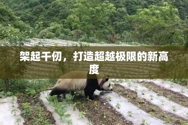 架起千仞，打造超越极限的新高度