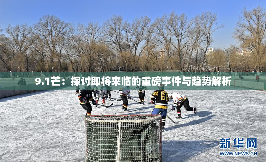 9.1芒：探讨即将来临的重磅事件与趋势解析