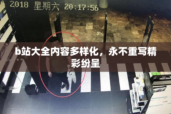 b站大全内容多样化，永不重写精彩纷呈