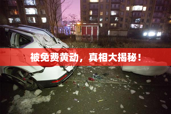 被免费黄动，真相大揭秘！