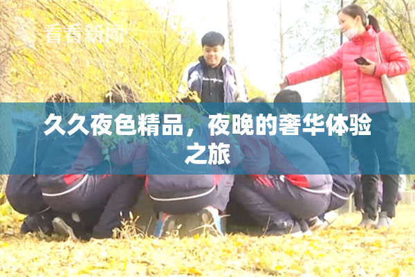 久久夜色精品，夜晚的奢华体验之旅