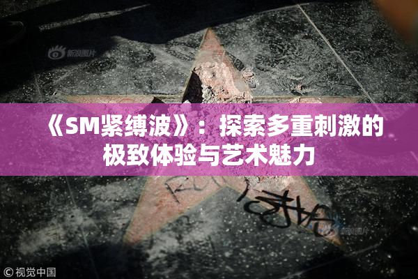 《SM紧缚波》：探索多重刺激的极致体验与艺术魅力