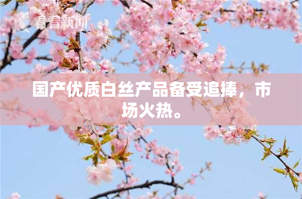 国产优质白丝产品备受追捧，市场火热。
