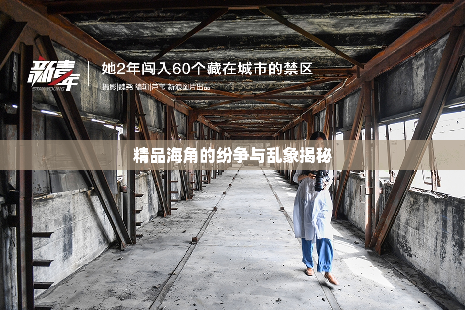 精品海角的纷争与乱象揭秘