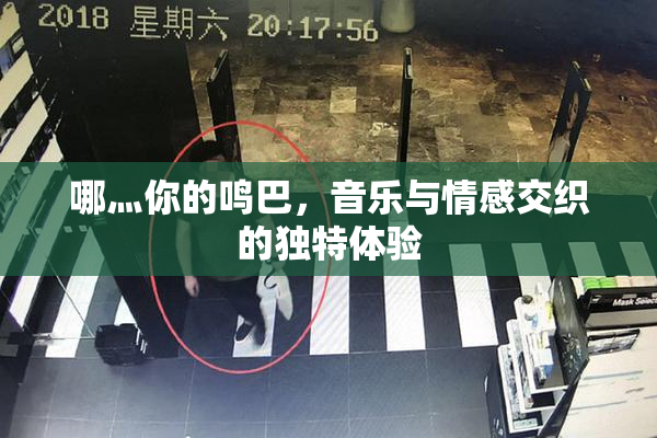 哪灬你的鸣巴，音乐与情感交织的独特体验