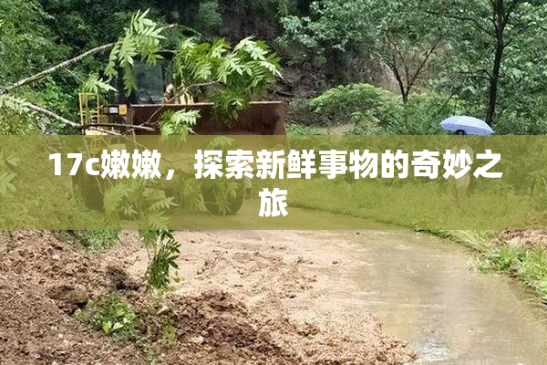 17c嫩嫩，探索新鲜事物的奇妙之旅