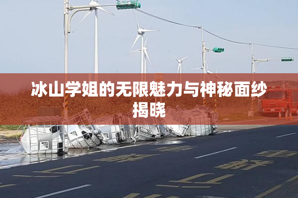 冰山学姐的无限魅力与神秘面纱揭晓