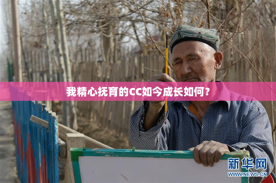 我精心抚育的CC如今成长如何？