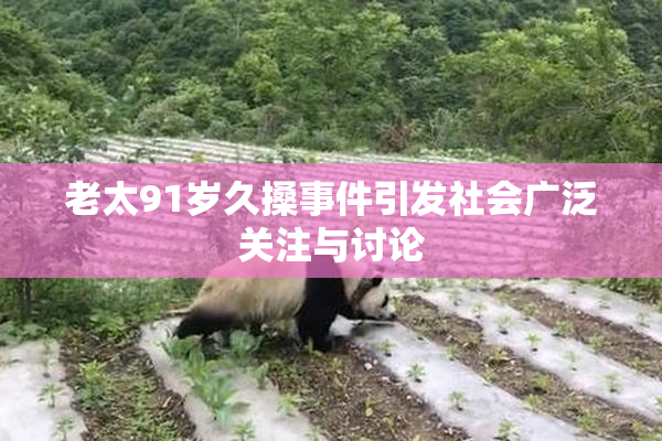 老太91岁久搡事件引发社会广泛关注与讨论