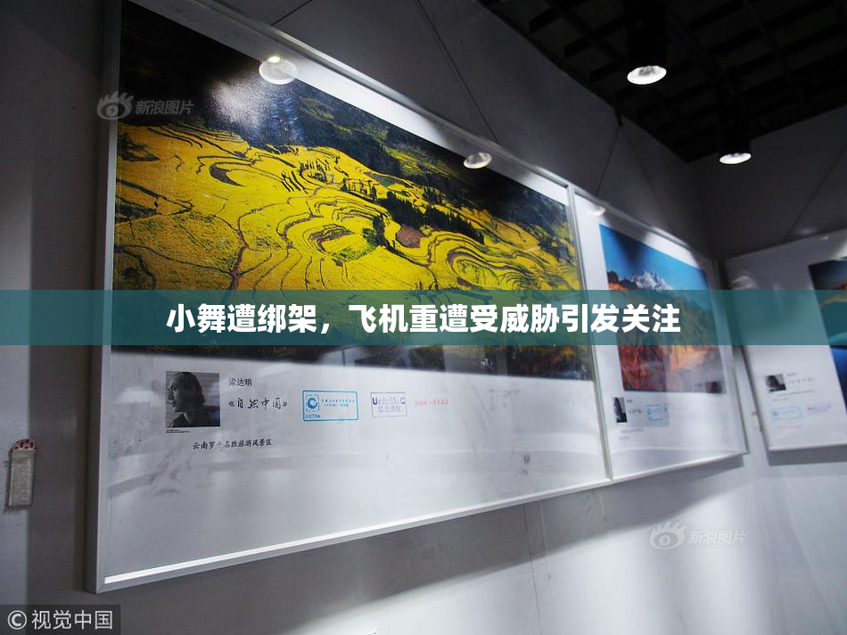 小舞遭绑架，飞机重遭受威胁引发关注