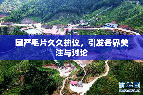 国产毛片久久热议，引发各界关注与讨论