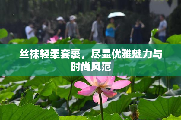 丝袜轻柔套裹，尽显优雅魅力与时尚风范