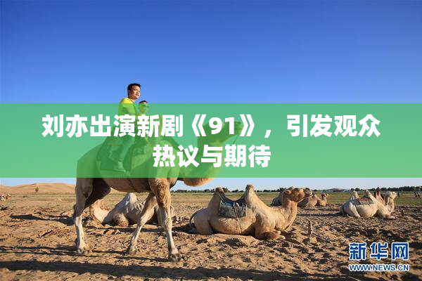 刘亦出演新剧《91》，引发观众热议与期待