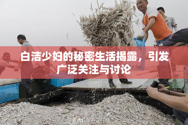 白洁少妇的秘密生活揭露，引发广泛关注与讨论